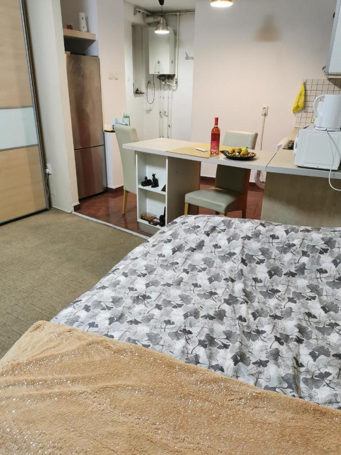 Ultracentral Cluj Napoca,Balcony,Fast Wifi,Parking 외부 사진